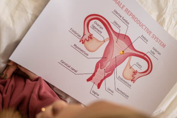 General Sex Questions